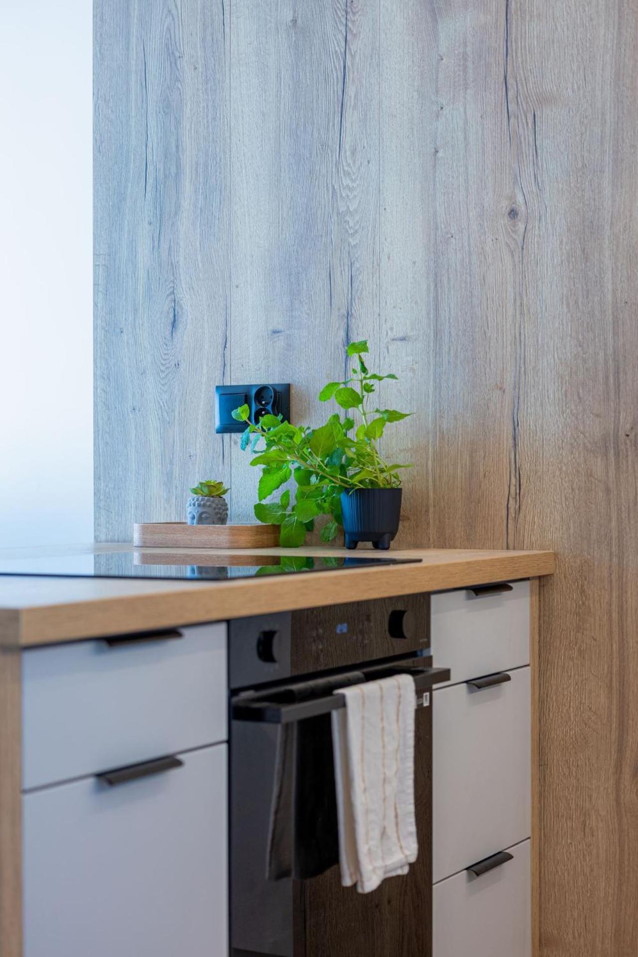 Vip Apartament Kopisto Centrum ジェシュフ エクステリア 写真